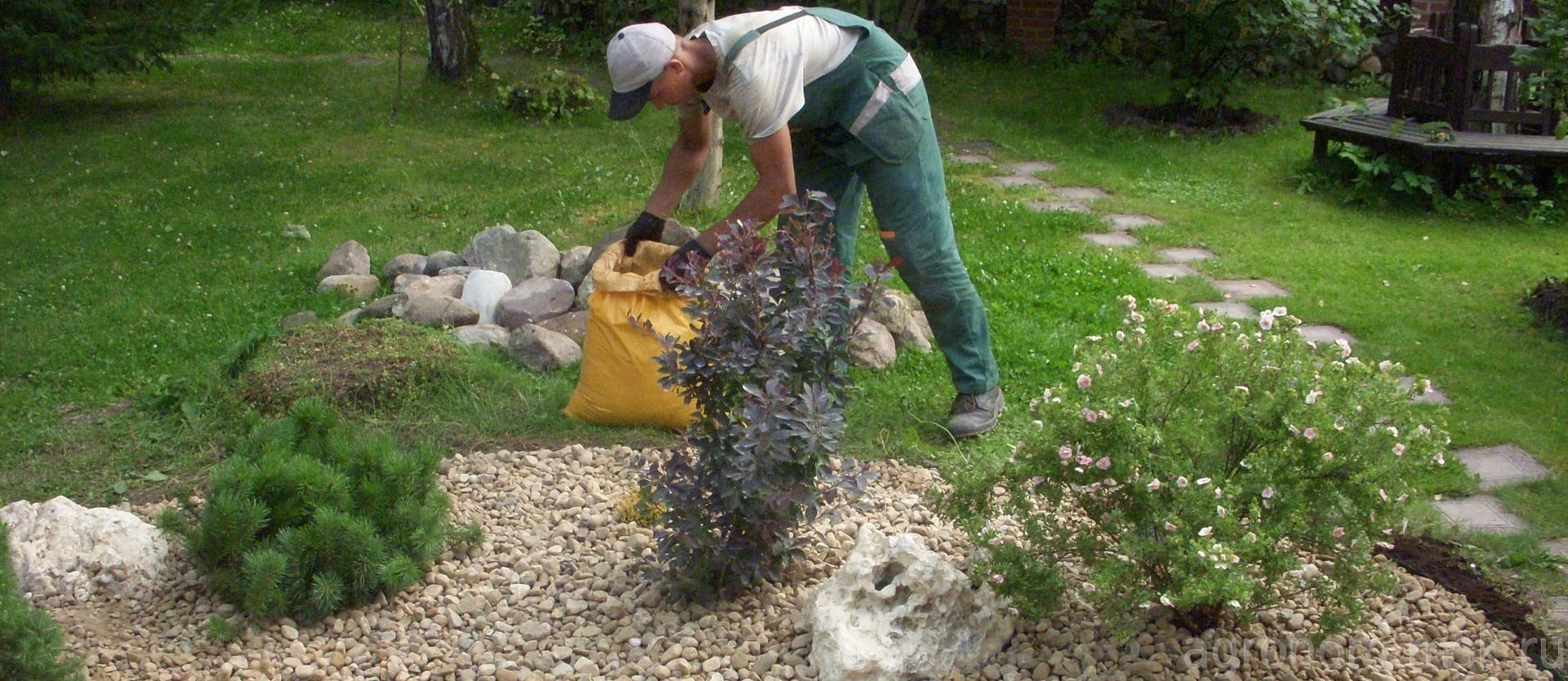 Посадить цветы недорого