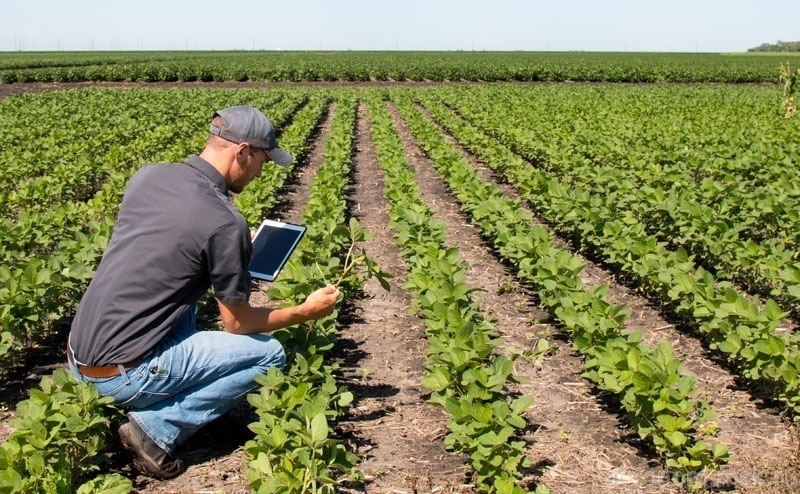 Заказать услуги агрономического сопровождения