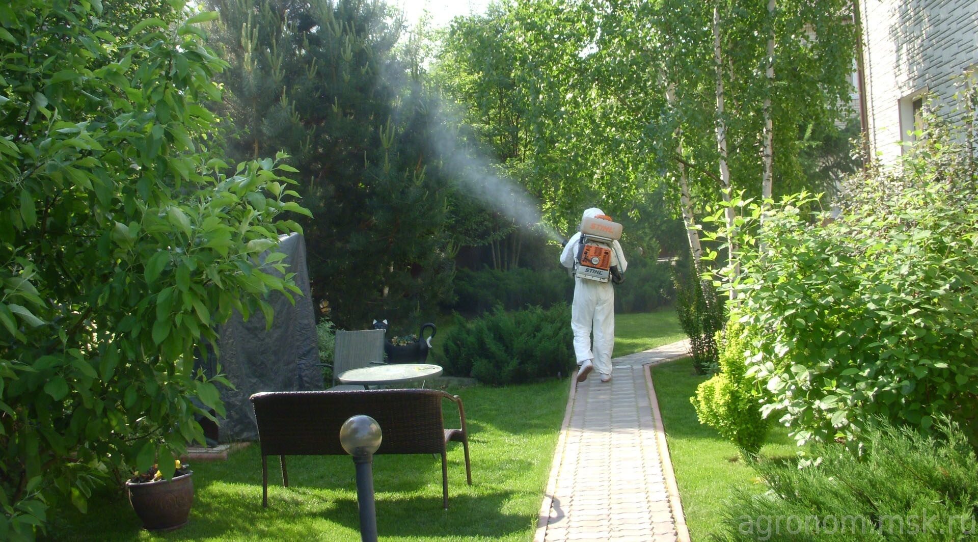 Уничтожить короеда