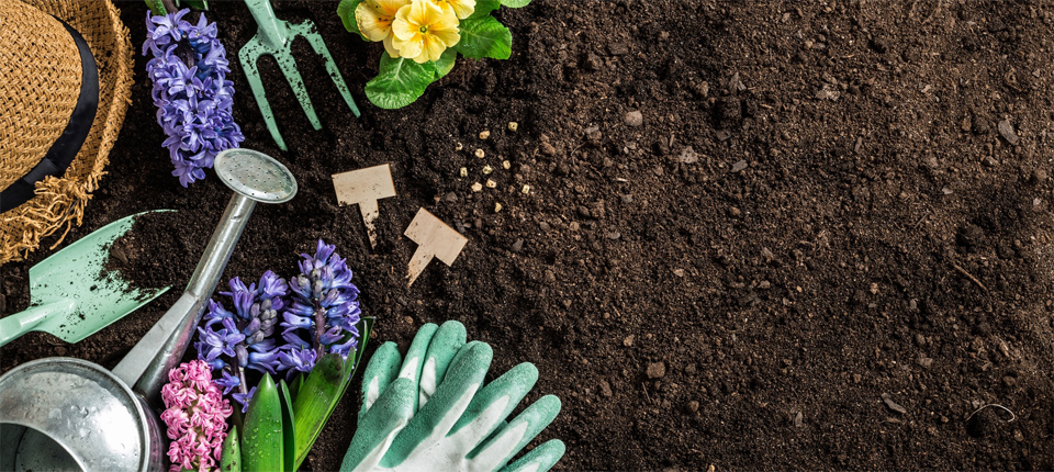 Услуги профессиональных садоводов