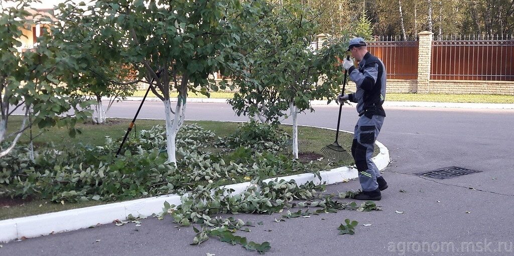 Заказать уход за садом