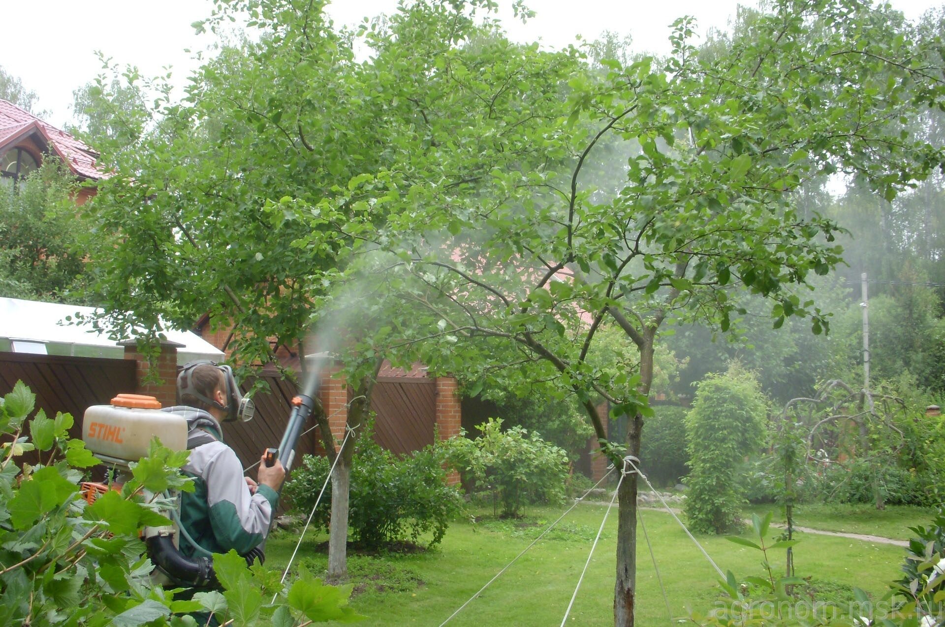 Услуги опрыскивания сада