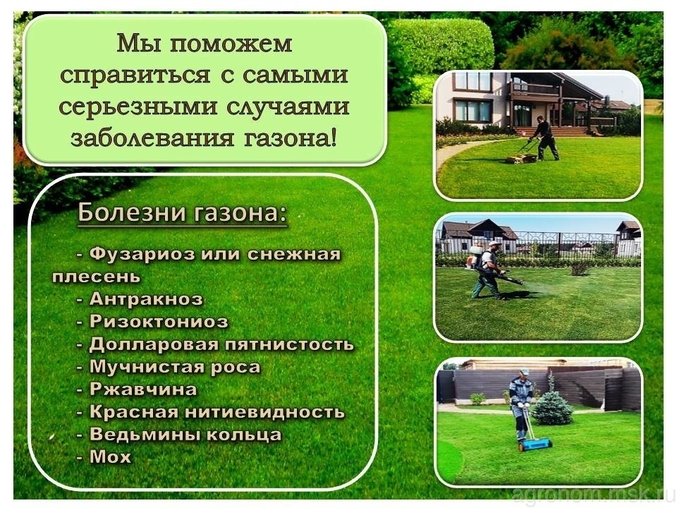 лечение газона на участке