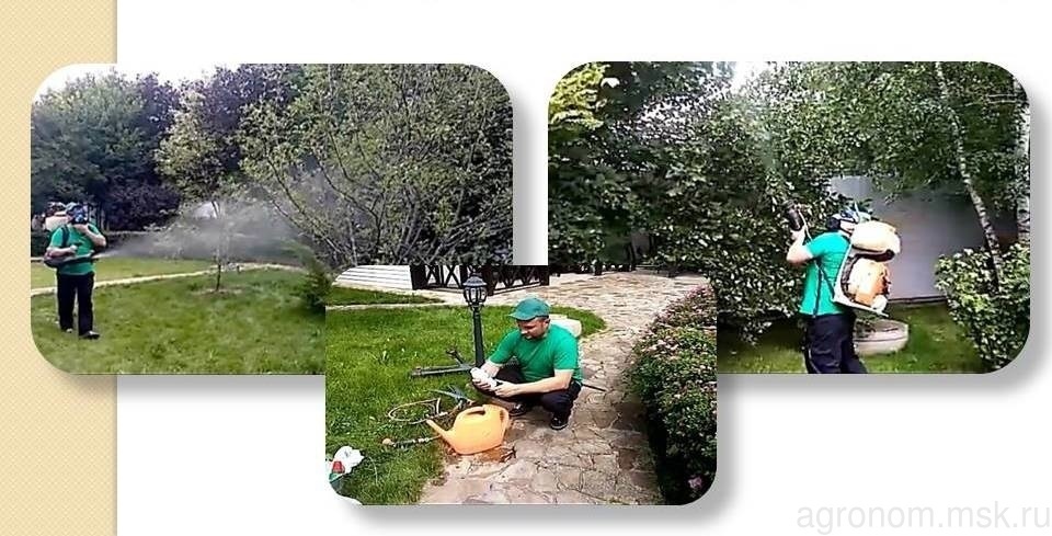 уход за растениями цены в москве