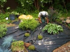 Посадка цветов 1