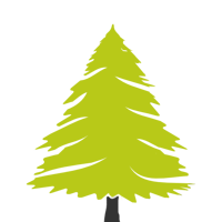 pine.png