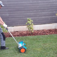 Подкормка/удобрение