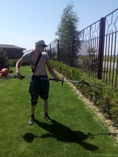 Обрезка изгороди 5