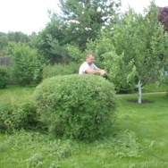 Обрезка кустарников