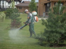 Уход за газоном 4