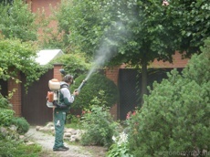 Опрыскивание 5