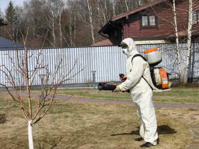 Борьба с болезнями и вредителями сада 