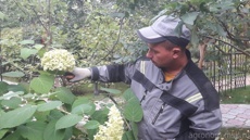 Уход за садом 1