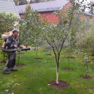 Борьба с вредителями сада