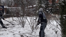 Обрезка кустарников 3