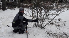 Обрезка кустарников 2