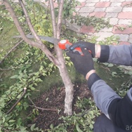 Агрономическое сопровождение