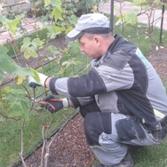 Уход за садом