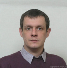 Михаил Камолов 