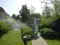 Уничтожение клещей на дачном участке 1