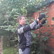 Обрезка плодовых деревьев